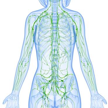 How to maintain lymphatic health with lymphatic drainage massage