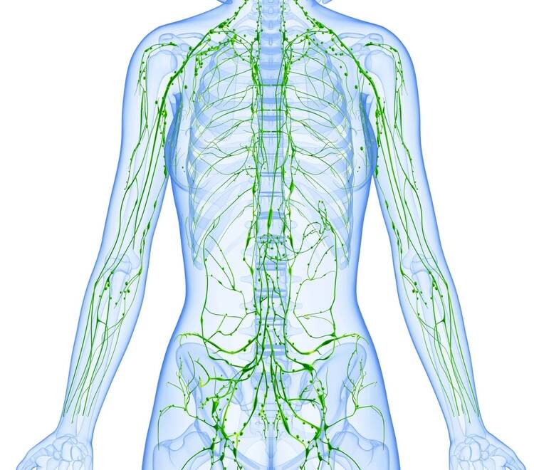 How to maintain lymphatic health with lymphatic drainage massage